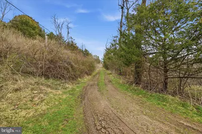 Aa Rogers, Augusta, WV 26704 - Photo 22