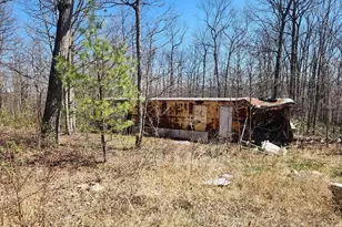 55 Kipps Dr, Augusta, WV 26704 - Photo 20