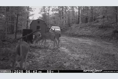 Advent Drive, Augusta, WV 26704 - Photo 66