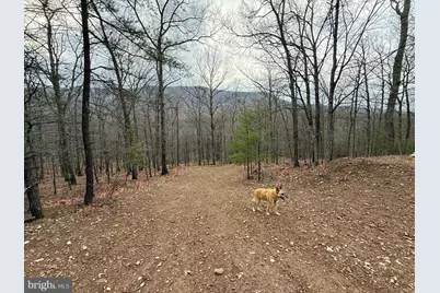 Advent Drive, Augusta, WV 26704 - Photo 32