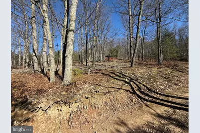 Advent Drive, Augusta, WV 26704 - Photo 44