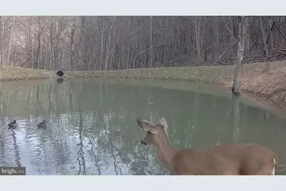 3837 Graces Cabin Road, Springfield, WV 26763 - Photo 56