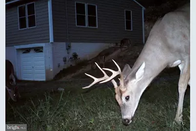 3837 Graces Cabin Road, Springfield, WV 26763 - Photo 70