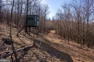 500 Lexington Dr, Romney, WV 26757 - Photo 36