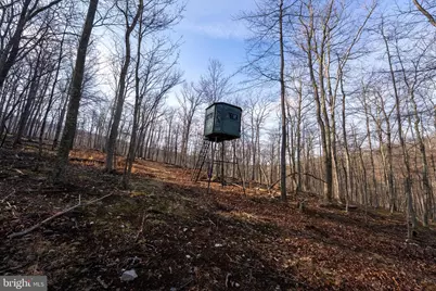 500 Lexington Drive, Romney, WV 26757 - Photo 48