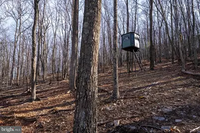 500 Lexington Drive, Romney, WV 26757 - Photo 28