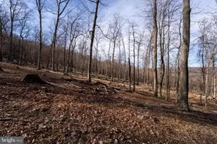 500 Lexington Dr, Romney, WV 26757 - Photo 30