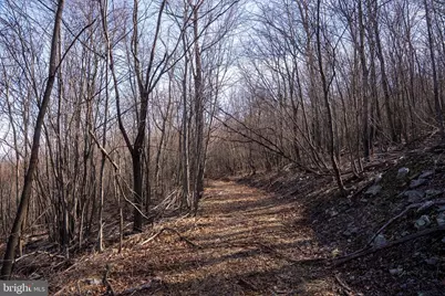 500 Lexington Drive, Romney, WV 26757 - Photo 32