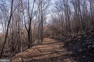 500 Lexington Dr, Romney, WV 26757 - Photo 32