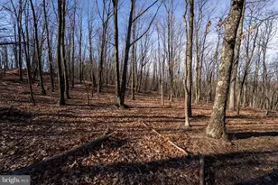 500 Lexington Dr, Romney, WV 26757 - Photo 24