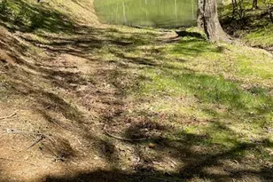 Lots 118 and 126 Graces Cabin Rd, Springfield, WV 26763 - Photo 58