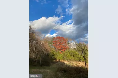 470 Brill Lane, Augusta, WV 26704 - Photo 16