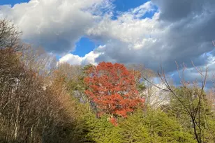 470 Brill Ln, Augusta, WV 26704 - Photo 96