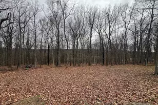 1127 Timber Rdg Rd, Capon Bridge, WV 26711 - Photo 8