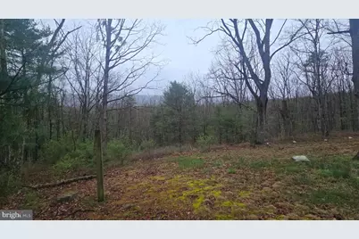 200 Davids Road, Delray, WV 26714 - Photo 6