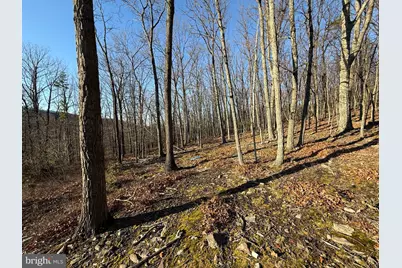 37 Advent Drive, Augusta, WV 26704 - Photo 44