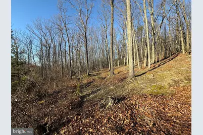 37 Advent Drive, Augusta, WV 26704 - Photo 46