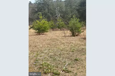 Dillions Run Road, Capon Bridge, WV 26711 - Photo 18