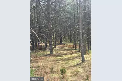 Dillions Run Road, Capon Bridge, WV 26711 - Photo 12