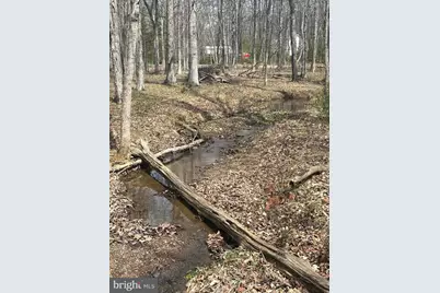 Dillions Run Road, Capon Bridge, WV 26711 - Photo 26