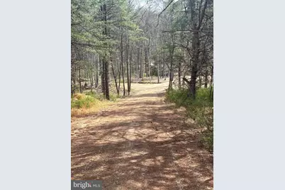 Dillions Run Road, Capon Bridge, WV 26711 - Photo 10