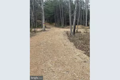 Dillions Run Road, Capon Bridge, WV 26711 - Photo 4