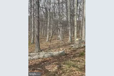 Dillions Run Road, Capon Bridge, WV 26711 - Photo 16