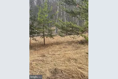 Dillions Run Road, Capon Bridge, WV 26711 - Photo 14