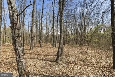 Lot 62 Phase 2 Crest Haven Road, Romney, WV 26757 - Photo 2