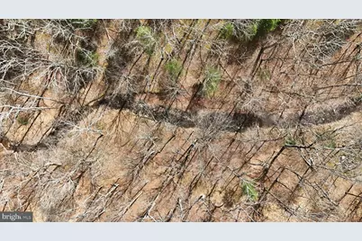 Lot 62 Phase 2 Crest Haven Road, Romney, WV 26757 - Photo 2