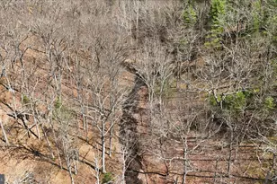 Lot 62 Phase 2 Crest Haven Rd, Romney, WV 26757 - Photo 1