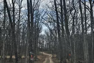 293 Elliot Ln, High View, WV 26808 - Photo 2