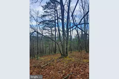 4.73 Ac Brown Cardinal Ridge, Romney, WV 26757 - Photo 8