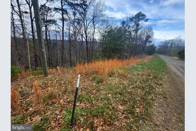 4.73 Ac Brown Cardinal Ridge, Romney, WV 26757 - Photo 16