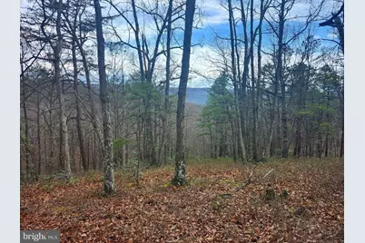 4.73 Ac Brown Cardinal Ridge, Romney, WV 26757 - Photo 4
