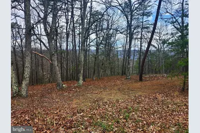 4.73 Ac Brown Cardinal Ridge, Romney, WV 26757 - Photo 14