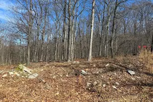 Lot 65 High Mountain View Rd, Romney, WV 26757 - Photo 1