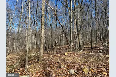 Lot 63 High Mountain View Road, Romney, WV 26757 - Photo 2