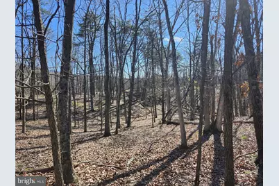 A.J. Kelley Rd, Purgitsville, WV 26852 - Photo 18