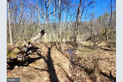 A.J. Kelley Rd, Purgitsville, WV 26852 - Photo 6