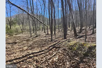 A.J. Kelley Rd, Purgitsville, WV 26852 - Photo 32