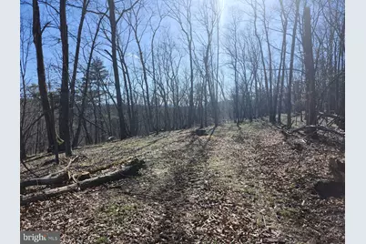 A.J. Kelley Rd, Purgitsville, WV 26852 - Photo 66