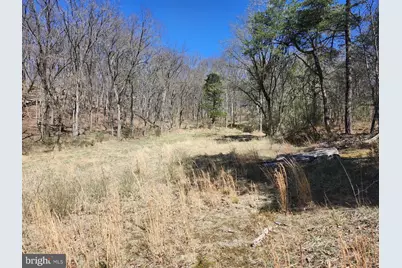 A.J. Kelley Rd, Purgitsville, WV 26852 - Photo 26