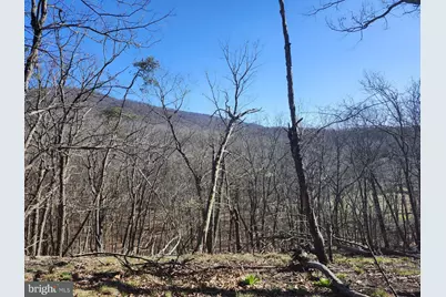 A.J. Kelley Rd, Purgitsville, WV 26852 - Photo 46