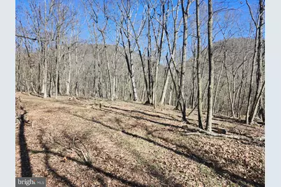 A.J. Kelley Rd, Purgitsville, WV 26852 - Photo 64