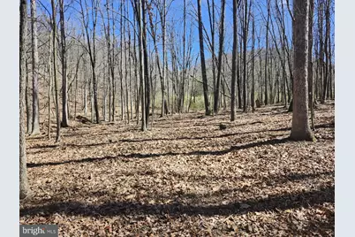 A.J. Kelley Rd, Purgitsville, WV 26852 - Photo 28