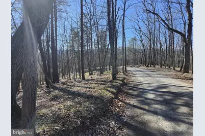 A.J. Kelley Rd, Purgitsville, WV 26852 - Photo 48