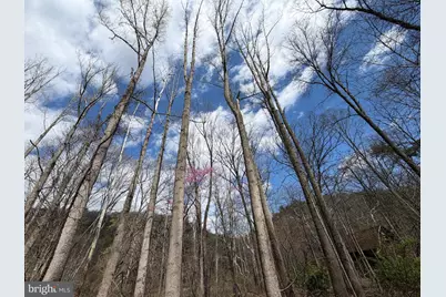 Lot # 45 Cacapon Hills, Paw Paw, WV 25434 - Photo 28