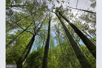 Lot # 45 Cacapon Hills, Paw Paw, WV 25434 - Photo 40