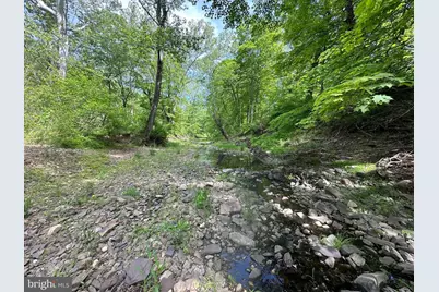 Lot # 45 Cacapon Hills, Paw Paw, WV 25434 - Photo 42